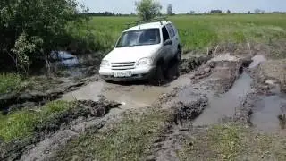 Нивасик