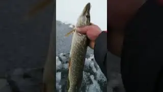 Ice fishing. Fishing on the lake. Fishing.