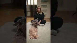 Сумасшедшая уборка!