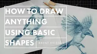 The 5 Questions That Let You Draw Anything