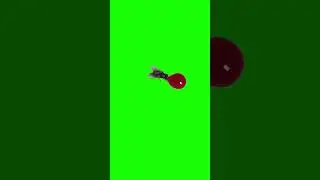 Fly Drinks Stage Blood & Flies away - Green Screen Background