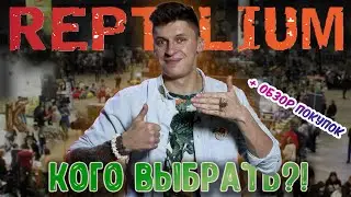 Осенний "Рептилиум" в Москве 2022. Пауки, эублефары, скорпионы, змеи, улитки. + обзор моих покупок.