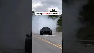 Whipple Shelby GT500 Burnout!
