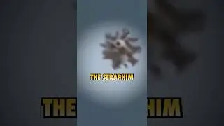Ep.72 Creature from Heaven spotted in Mexico? 