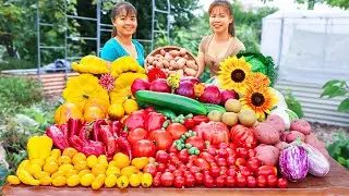 Harvesting Red Potatoes Goes To The Countryside Market Sell - Harvest Vegetable | New Free Bushcraft