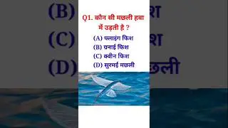 Q. कौन सी मछली हवा में उड़ती है ? 