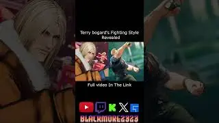Terry Bogard Is A Fighting Genius        