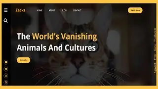 How To Create A Website Step by Step Using HTML & CSS