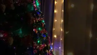 Наша ёлка🎄
