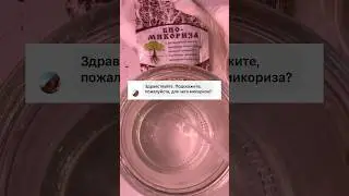 МИКОРИЗА КАК ИСПОЛЬЗОВАТЬ И ДЛЯ ЧЕГО? 