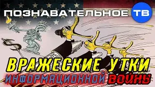 Вражеские утки информационной войны (Познавательное ТВ, Евгений Фёдоров)