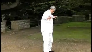 Цигун Дикого гуся  (Даянь цигун - Dayan Qigong)  - Part 1