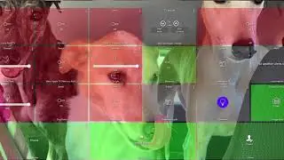 I need your help!