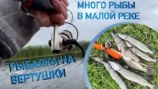 Рыбалка на вертушки / Много рыбы в малой реке