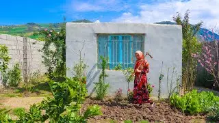 Daily Village Life on a Beautiful Spring Day _ Life in the Mountains of Iran