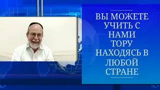 О программе 