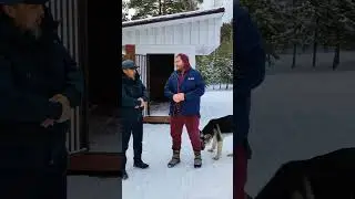 Коррекция поведения собаки. Алматы+77075299363 wots'app Мурат.