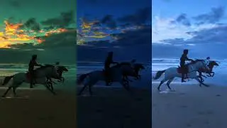 Horse raceing men and lady it's so cool