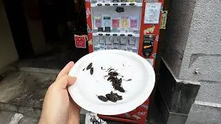 Edible Crickets Vending Machines