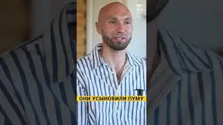 Они усыновили Пуму #животные #animals