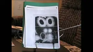 София Бланк