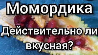 Момордика / Правда о Вкусовых Качествах / Как  Сажать чтобы Успели Плоды Созреть