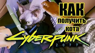 Cyberpunk 2077 \ Киберпанк 2077 - Как получить кота?