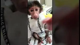 По просьбе наших подписчиков выложить архивные видео . 😍500 граммовое счастье 🥰