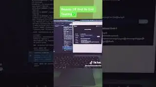 Beauty of end to end Testing