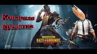 Коварный план Креветки. Топ Тима! PUBG MOBILE