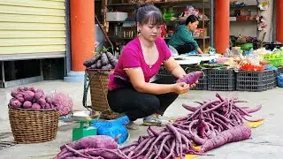 Harvesting Cassava Goes To Market Sell - Free farm | New Free Bushcraft