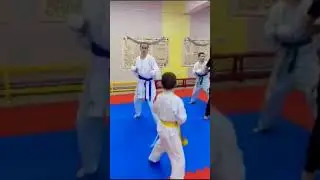 Как правильно бить удары гьякуцки кизами цки