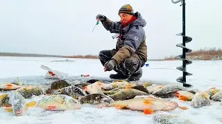 ОКУКОНИ ЖРУТ ВЗАГЛОТ ДЖИГИ ДЗАГИ! ЭТО ЯКУТИЯ АГАТ!