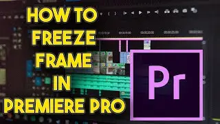 How To FREEZE Frame In Premiere Pro (2023) (Freeze Frame Effect)