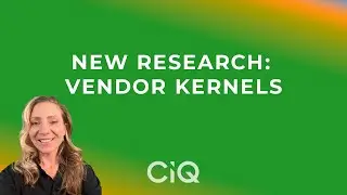 What You Need to Know: Vendor Kernels, Bugs, and Stability