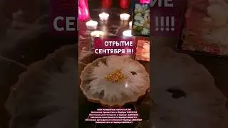 💯 ЧТО ОТКРОЕТ ВАМ СЕНТЯБРЬ ??? #shorts #top #топ #чтооткроетсентябрь #медиум #экстрасенс #voodoo
