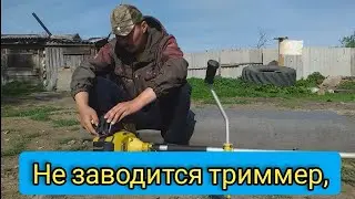 Будни деревенщины в Сибири//сломался триммер//выгоняем коров..