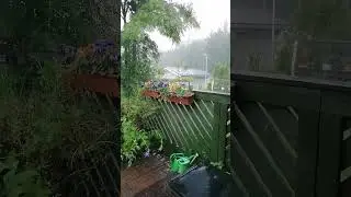 🇫🇮☔🌀🌧️Ах, эти летние дожди, эти радуги и тучи... Дождь с градом за 10 мин. переполнили все колодцы.