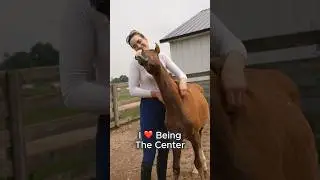 Meet These Cute Foals 🥰