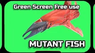 MUTANT FISH video Green Screen animation. CHROMAKEY FOOTAGE on the green screen.