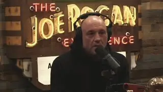Mandatory Social Media Communication Retraining For Jordan Peterson- Joe Rogan