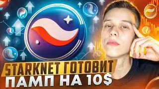 Криптовалюта StarkNet  | STRK даст ИКСЫ? StarkNet обзор Альткоины на иксы 2024! Экосистема StarkNet!
