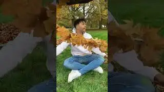 Autumn 🍂 or spring?