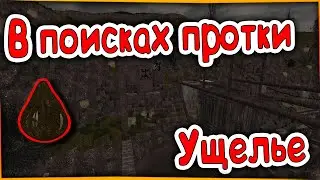 ЛУТАЕМ УЩЕЛЬЕ|STALCRAFT+РОЗЫГРЫШЬ НА 30КК ВАЛЮТЫ!
