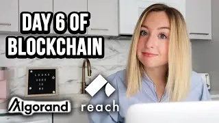 Day 6 of Blockchain | Adding Testing and Automatic Verifications to a Decentralized Application