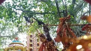 ବାବା ଗୋରଖନାଥ temple 🙏😌🙏 . long video  short by //aditya zone //
