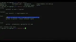 Use static analysis and testing tools:  pylint, pytest and coverage