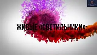Живые «светильники»: как учёным удалось создать светящиеся растения