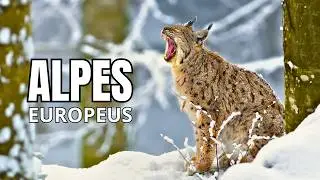 ALPES EUROPEUS | Os Gigantes do Velho Mundo - Documentário