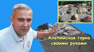 DIY rock garden